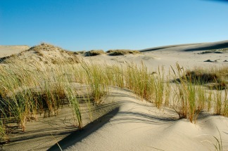 curonian-spit_7586-ac814cb4bf25d3d335da1035a2251b24.jpg