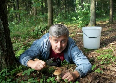 mushroom-picking_3040-5b02cbe86f8173fa5870033b79782161.jpg